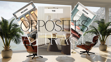 Opposites Attract – DM Aesthetics Interiors & Decor